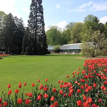 Wieting Superior 3* Oldenburg
